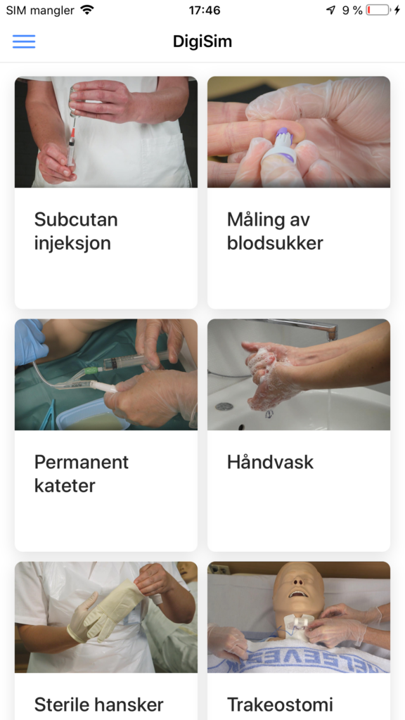Oversikt over prosedyrer (engelsk versjon)
