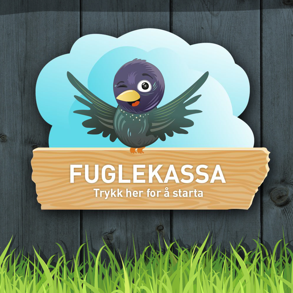 Fuglekassa