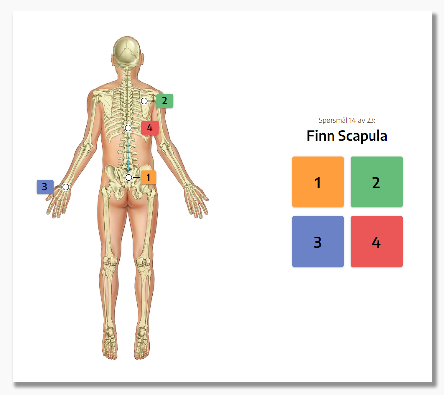 Eksempel på visuell quiz